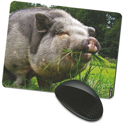 

FRENEMY MPAD5091 Mousepad(Multicolor)