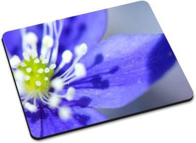 

Shoprider DESGINER MOUSEPAD-439 Mousepad(Multicolor)