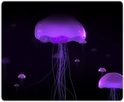

Lovely Collection Jelly Fish Mousepad(Multicolor)