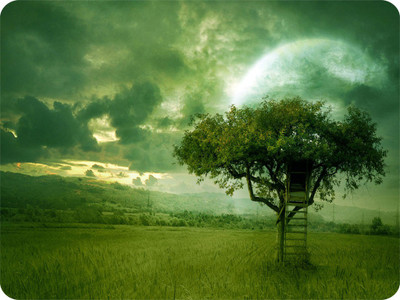 

SYL Tree House Mousepad(Multicolor)