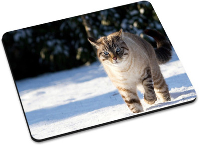 

Shoprider MULTICOLOR-374 Mousepad(Multicolor)