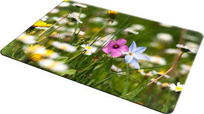 

EMPRESSION EMP-LOT2-1712 Mousepad(Multicolor)