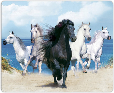

Lovely Collection Beautiful Horse Mousepad(Multicolor)