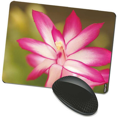 

FRENEMY MPAD3852 Mousepad(Multicolor)