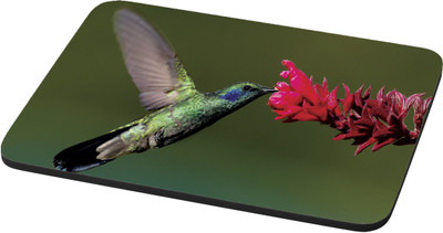 

EMPRESSION Multicolor-895 Mousepad(Multicolor)