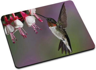 

Shoprider DESGINER MOUSEPAD-202 Mousepad(Multicolor)