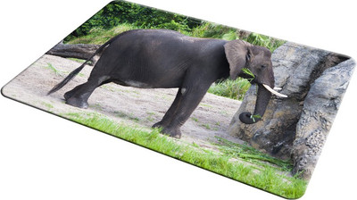 

EMPRESSION EMP-LOT2-1022 Mousepad(Multicolor)
