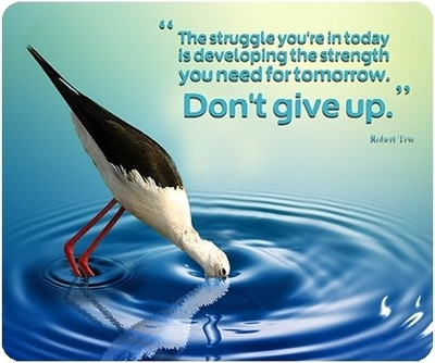 

Allthingscustomized Don't Give Up Mousepad(Multicolor)