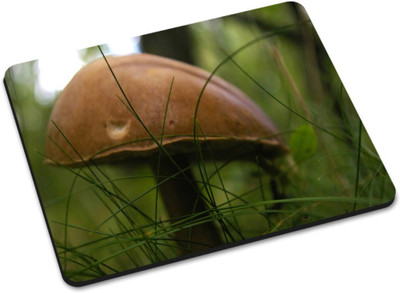 

Shoprider DESGINER MOUSEPAD-233 Mousepad(Multicolor)