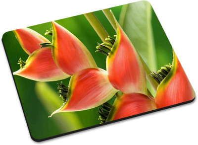 

Shoprider DESGINER MOUSEPAD-658 Mousepad(Multicolor)