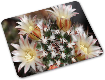 

Shoprider Desginer-575 Mousepad(Multicolor)