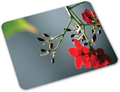 

Shoprider Desginer-755 Mousepad(Multicolor)