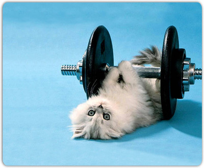 

Lovely Collection Cat Workout Mousepad(Multicolor)