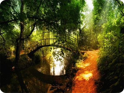 

SYL Tree And Bridge Mousepad(Multicolor)
