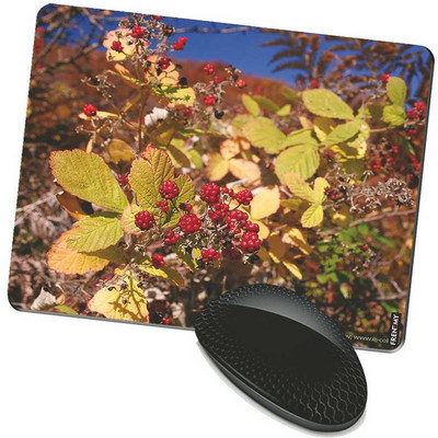 

FRENEMY MPAD1769 Mousepad(Multicolor)