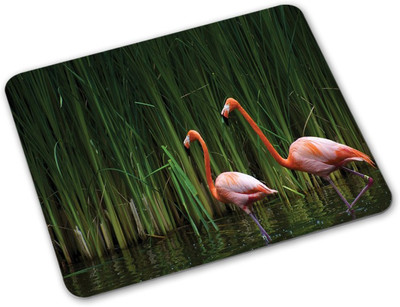 

Shoprider Desginer-891 Mousepad(Multicolor)