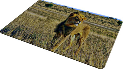 

EMPRESSION EMP-LOT2-942 Mousepad(Multicolor)