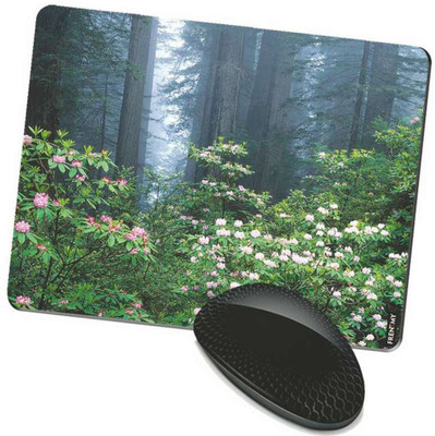 

FRENEMY MPAD7056 Mousepad(Multicolor)