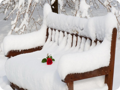 

SYL Snow Bench Mousepad(Multicolor)