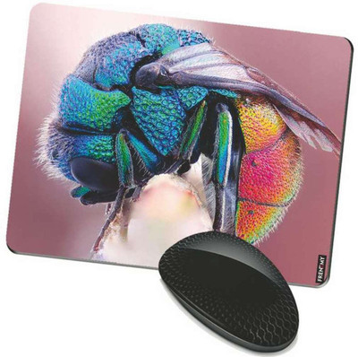 

FRENEMY MPAD8503 Mousepad(Multicolor)
