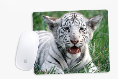 

Sowing Happiness SHMUSPD034 Mousepad(Multicolor)