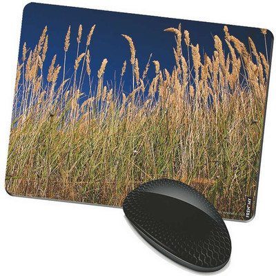 

FRENEMY MPAD3561 Mousepad(Multicolor)