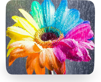 

PhotogiftsIndia sunflower painting Mousepad(Multicolor)