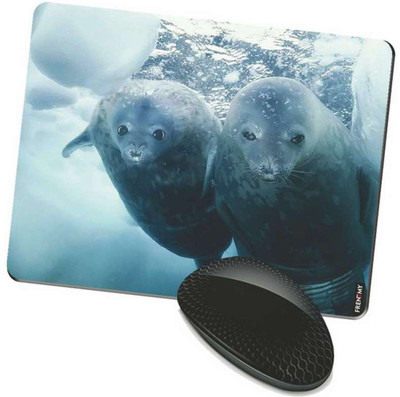 

FRENEMY MPAD1301 Mousepad(Multicolor)