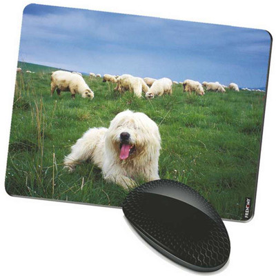 

FRENEMY MPAD8927 Mousepad(Multicolor)
