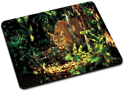 

Shoprider DESGINER MOUSEPAD-981 Mousepad(Multicolor)
