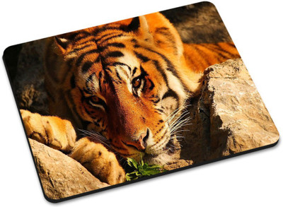 

Shoprider DESGINER MOUSEPAD-350 Mousepad(Multicolor)
