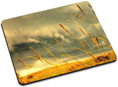 

Shoprider MULTICOLOR-804 Mousepad(Multicolor)