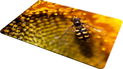 

EMPRESSION EMP-LOT2-1845 Mousepad(Multicolor)