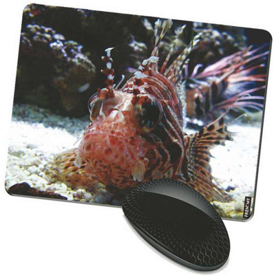 

FRENEMY MPAD8107 Mousepad(Multicolor)
