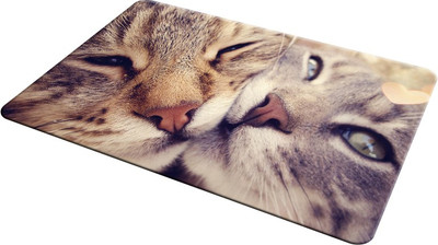 

EMPRESSION EMP-LOT2-728 Mousepad(Multicolor)