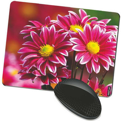 

FRENEMY MPAD4809 Mousepad(Multicolor)