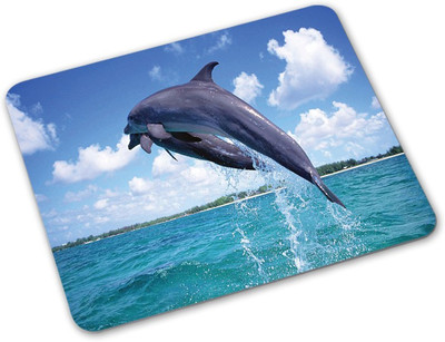 

Shoprider Desginer-534 Mousepad(Multicolor)