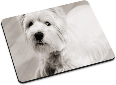 

Shoprider MULTICOLOR-892 Mousepad(Multicolor)