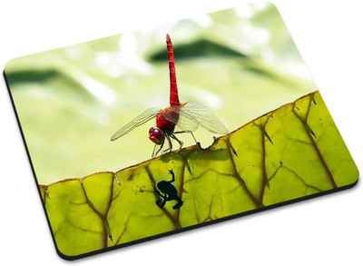 

Shoprider DESGINER MOUSEPAD-527 Mousepad(Multicolor)