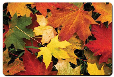 

Shopmania MULTICOLOR-299 Mousepad(Multicolor)