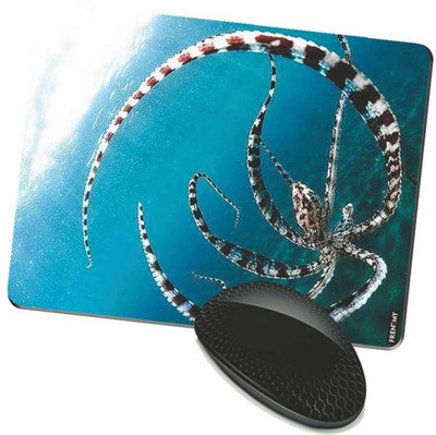 

FRENEMY MPAD8081 Mousepad(Multicolor)