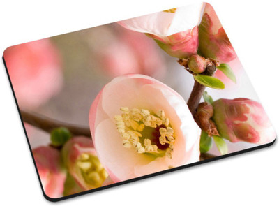 

Shoprider DESGINER MOUSEPAD-513 Mousepad(Multicolor)