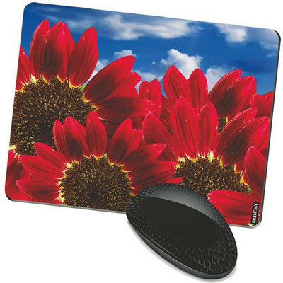 

FRENEMY MPAD8898 Mousepad(Multicolor)