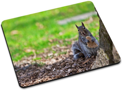 

Shoprider DESGINER MOUSEPAD-499 Mousepad(Multicolor)