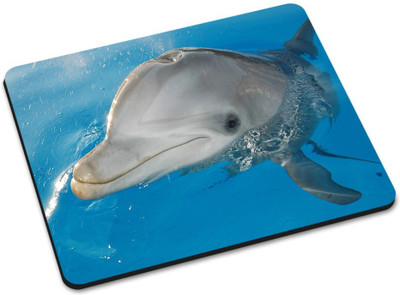 

Shoprider DESGINER MOUSEPAD-133 Mousepad(Multicolor)