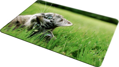 

EMPRESSION EMP-LOT2-786 Mousepad(Multicolor)