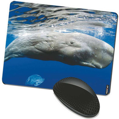 

FRENEMY MPAD8938 Mousepad(Multicolor)