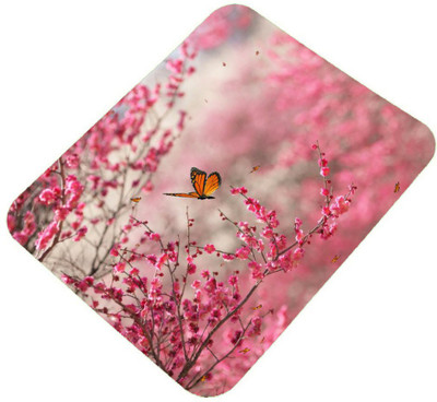 

Clapcart India Clapcartindia58 Mousepad(Multicolor)