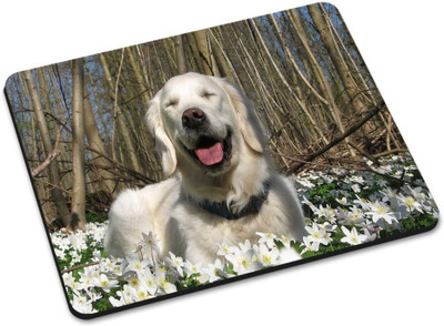 

Shoprider DESGINER MOUSEPAD-142 Mousepad(Multicolor)
