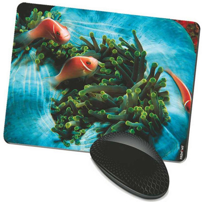 

FRENEMY MPAD8105 Mousepad(Multicolor)